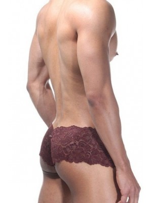 Kahverengi Dantelli Erkek Baksır